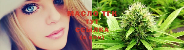 индика Беломорск