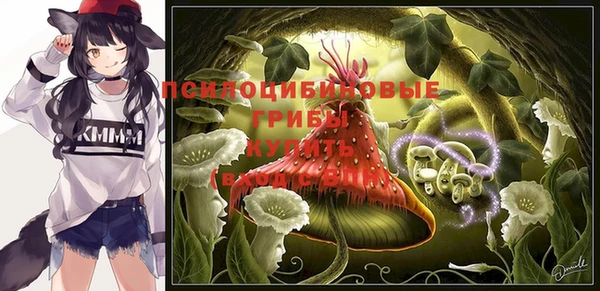 гидропоника Россошь