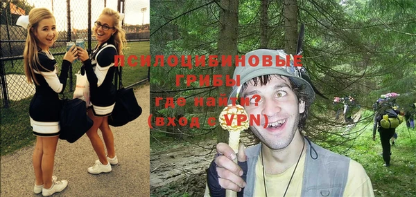 альфа пвп Богородицк