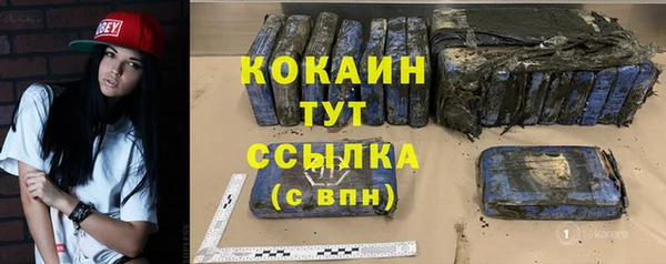 индика Беломорск