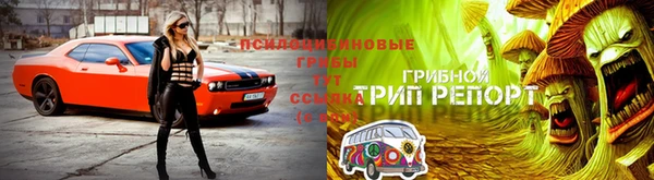 кокс Богданович